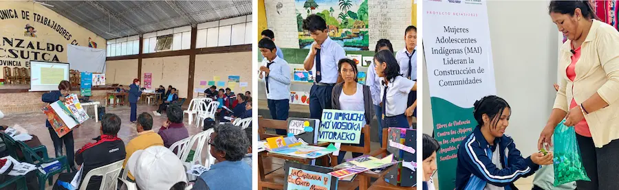 Proyectos Bolivia 2